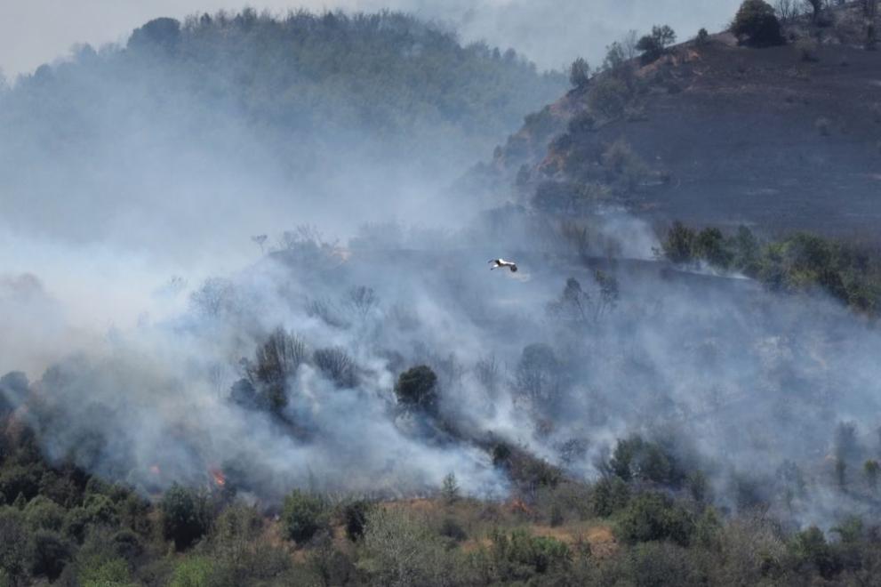Служител на Югозападното държавно предприятие (ЮЗДП) е контузен по време
