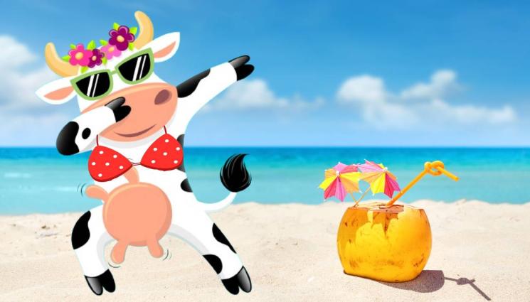 крава плаж - ЗЛАТНО ВРЕМЕ: УЧЕНИ ДОКАЗАХА: Морето влияе на емоциите ни!