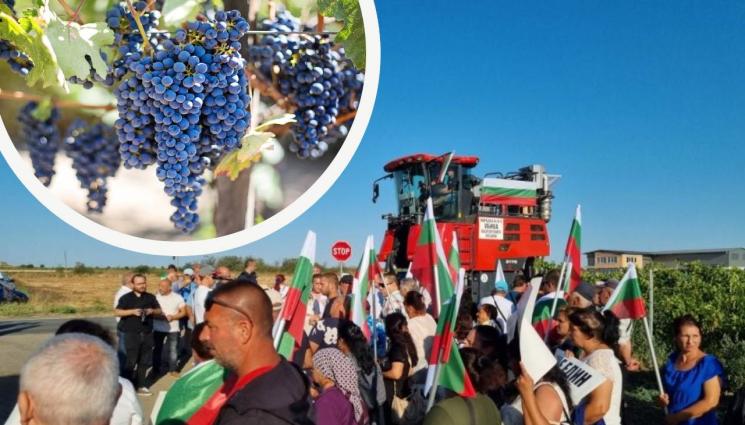 протест - БУНТ: Лозари и винари блокираха пътя за Слънчака