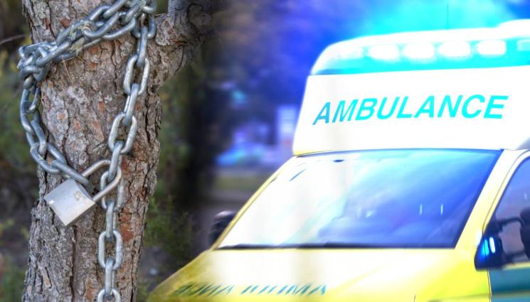 дърво - НЕЧУВАНА АГРЕСИЯ: Мъж държа жена окована за дърво 40 дни!