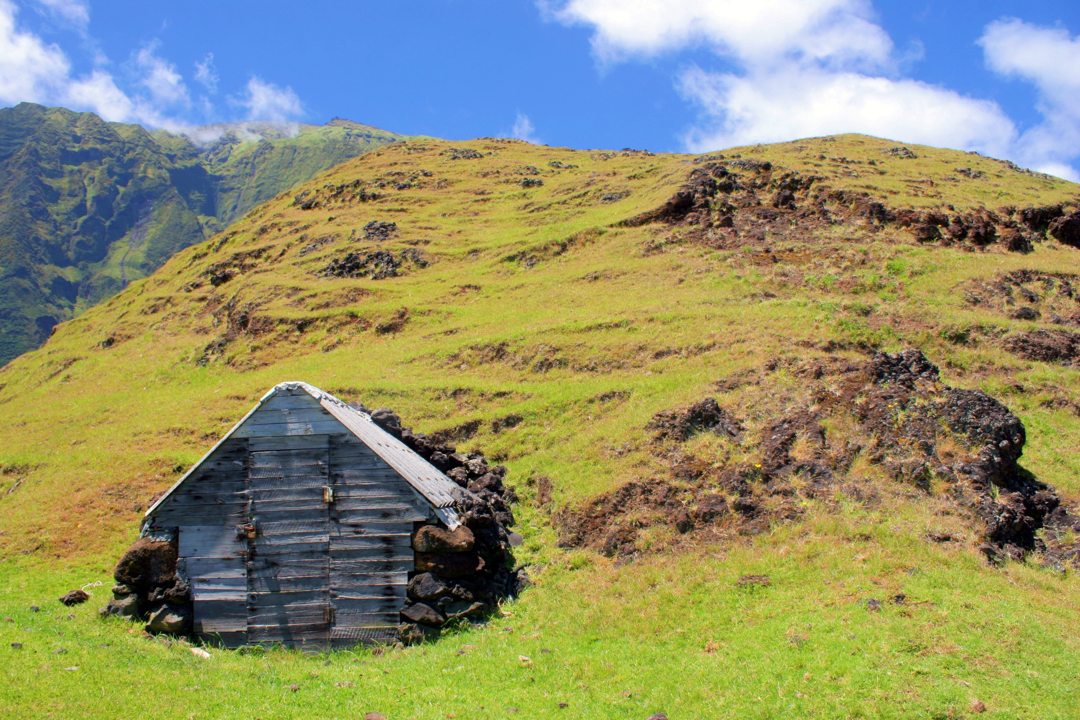 Тристан да Куня