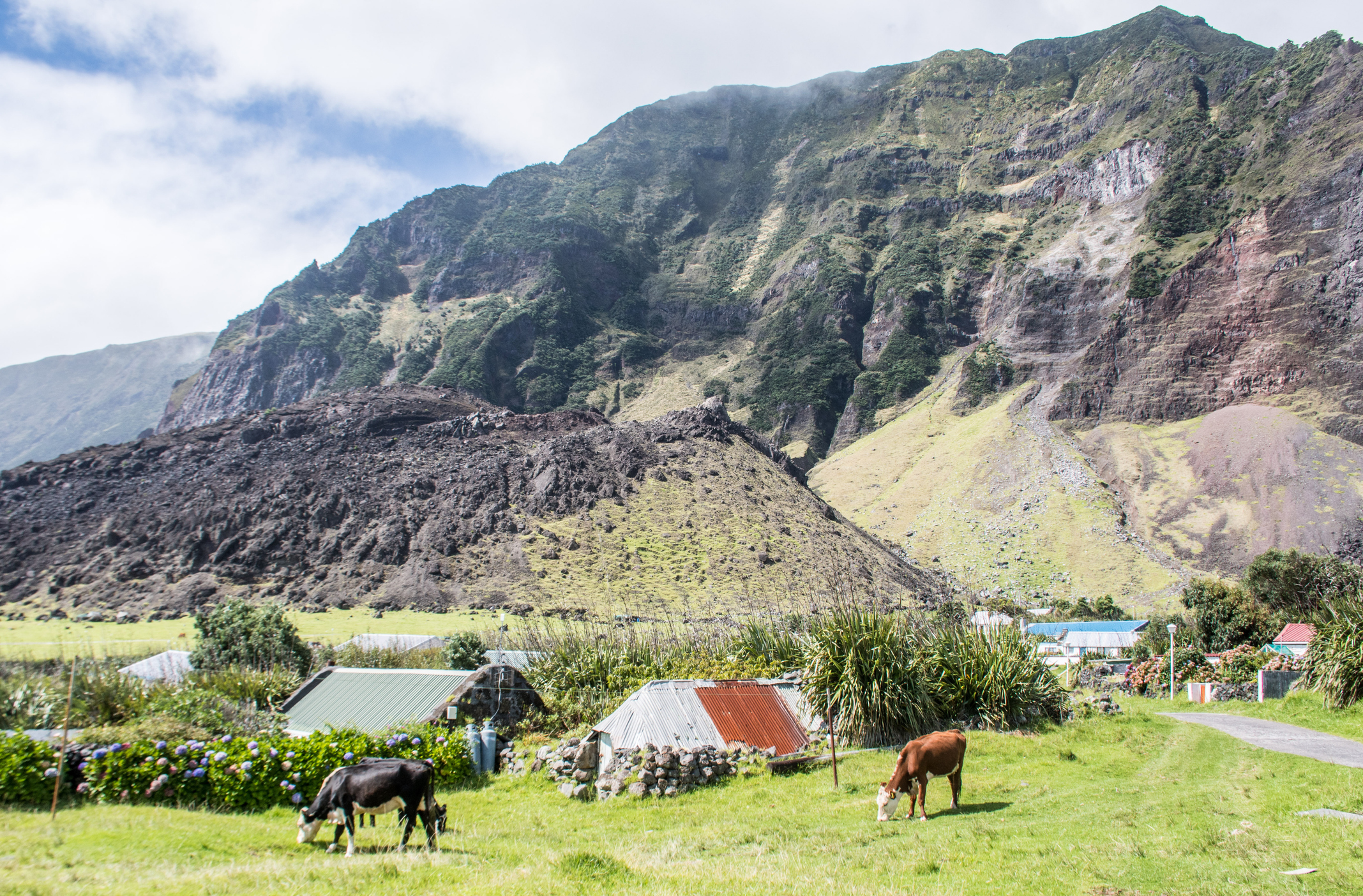 Тристан да Куня