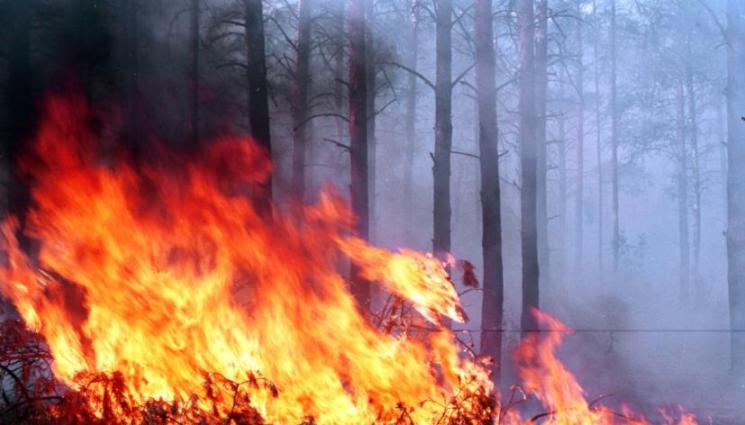 с - Бедствено положение в Симитли заради големия пожар в Пирин!