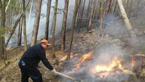 От снощи гори пожар в стара борова гора с много