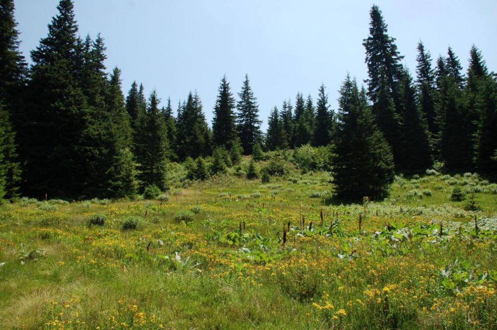  Стара планина 