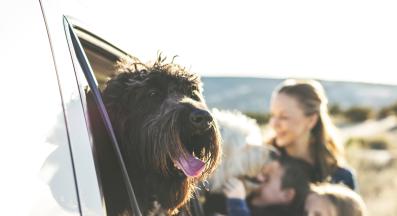 куче пътуване