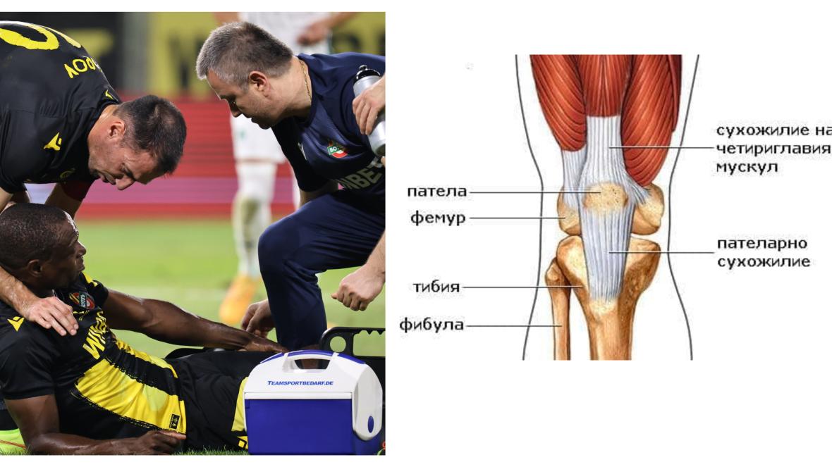 Антъни Уджа контузия Ботев Пловдив