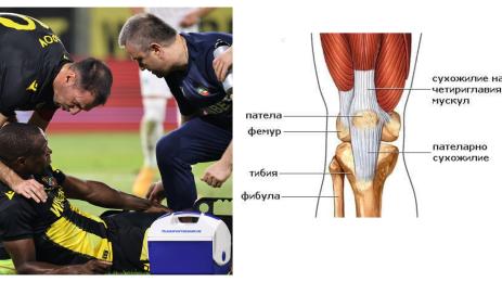 Антъни Уджа контузия Ботев Пловдив