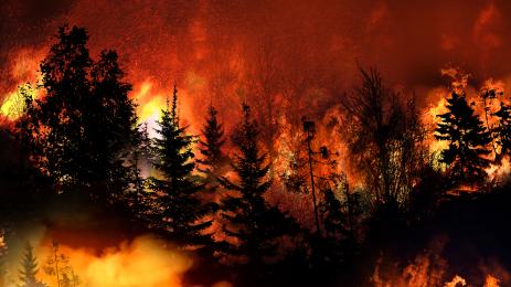 горски пожар