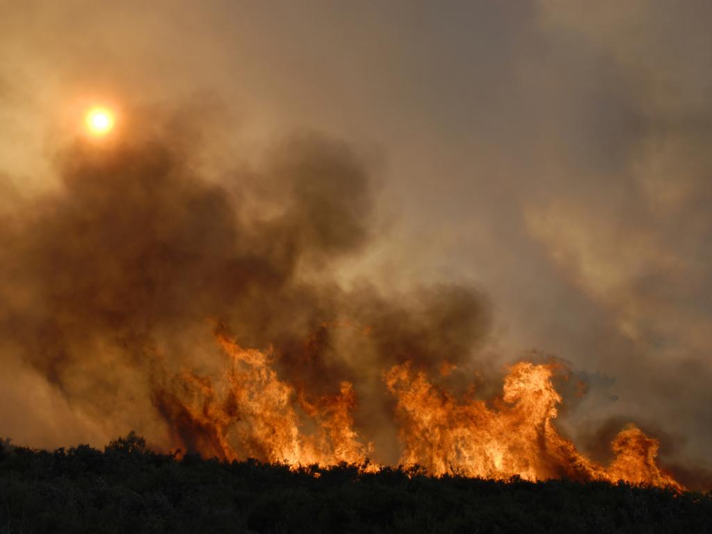 Пожар гори на територията на община Невестино съобщи БНР Огънят е