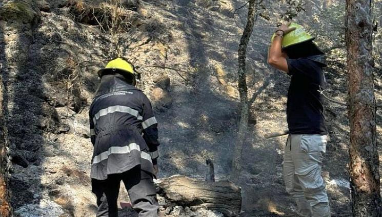 пожар - Спряха огнения ад, който бушува 5 дни в Малешево!