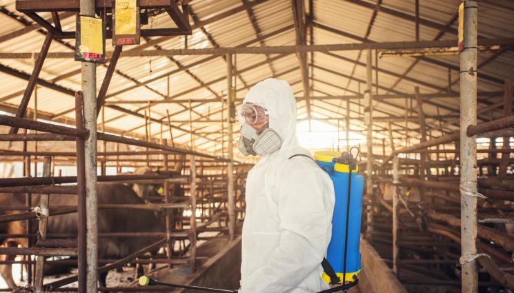 чума - ОСВЕН ОГЪН: Чума настъпва от Гърция към България!