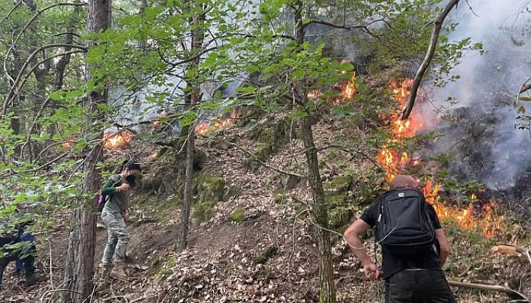 пожар - ГЕРОИ: Служители на НП „Пирин“ спряха пожара под връх Шаралия!