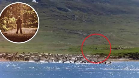 Голямата стъпка