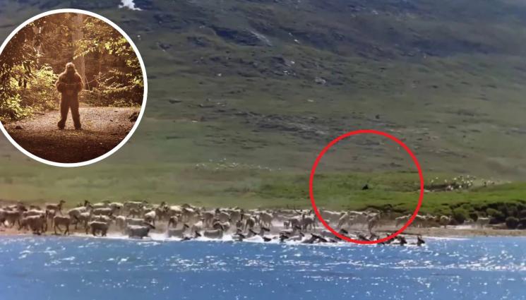 Голямата стъпка - НАПЪЛНО НЕОЧАКВАНО: Снимачен екип заснел случайно Голямата стъпка! (ВИДЕО)