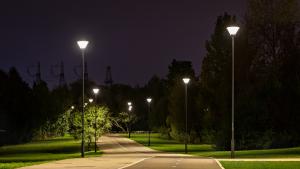 Учени смятат че изкуствената светлина може да повлияе на естествената