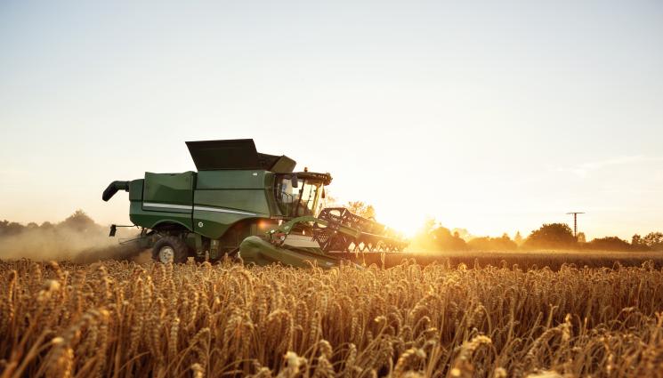 жътва пшеница - Агро Телеграф: Добруджа с рекорд – тон пшеница от декар!