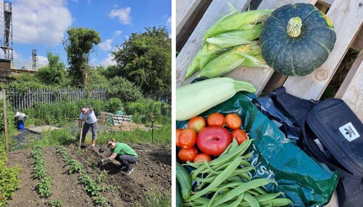 агро - Агро Телеграф: Куртовската капия превзе Острова