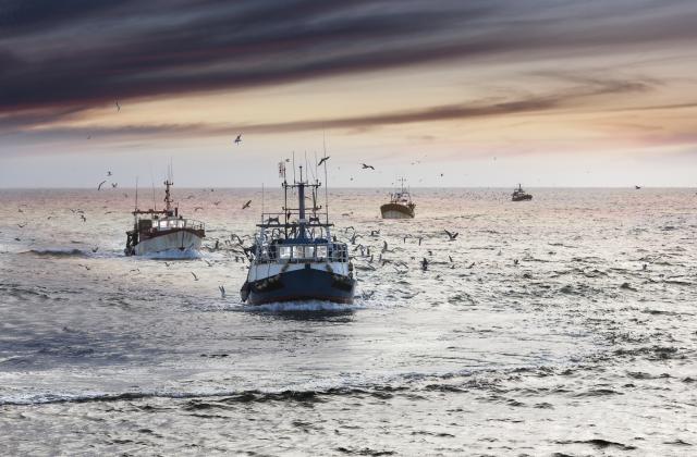 Държавен фонд Земеделие“ (ДФЗ) изплати над 1,3 млн. лв. (1 348 259