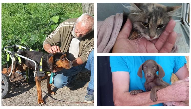 с - СЪС СРЕДСТВА ОТ ДАРИТЕЛИ: Изграждат приют за тежко болни кучета