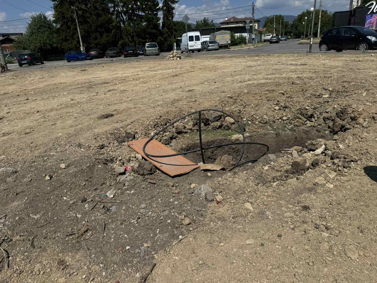 крокодил софия