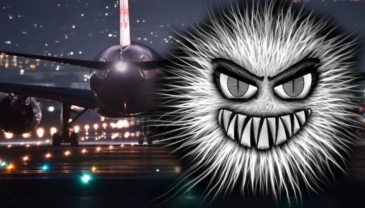 самолет гад - АТАКА: Лакома гад видя сметката на цяло летище!