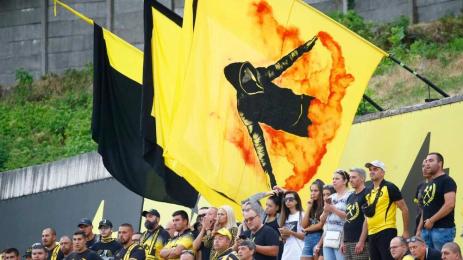 Миньор Перник