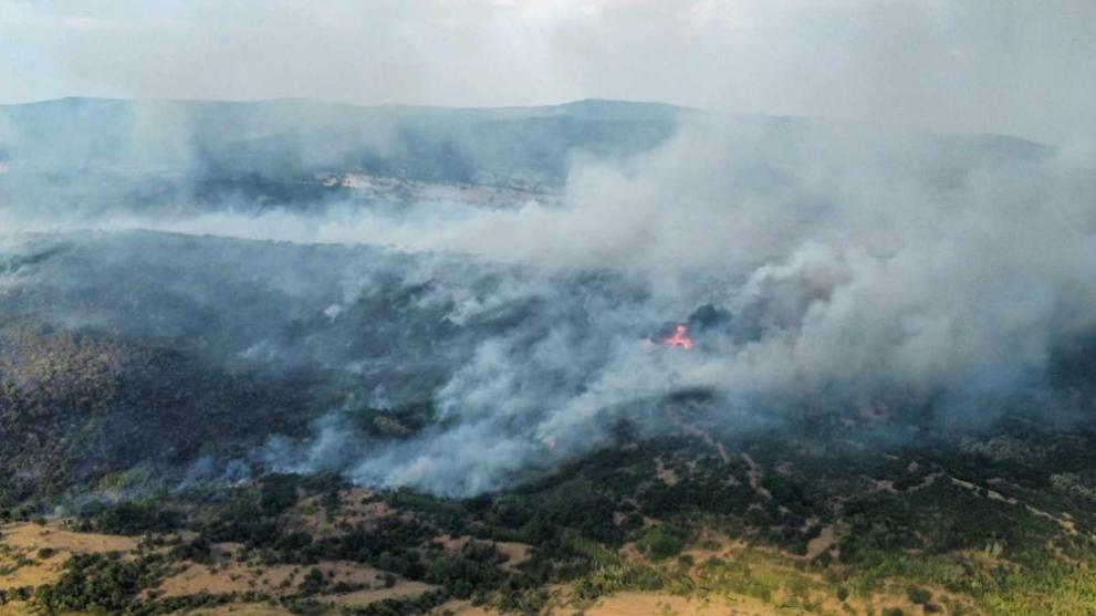 Собственици на изгорели пасища в Сакар планина ще бъдат обезщетени.