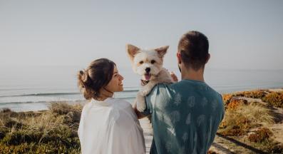 куче човек обич