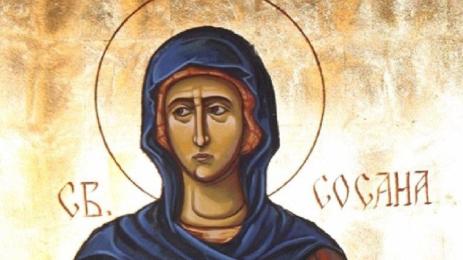 света сузана