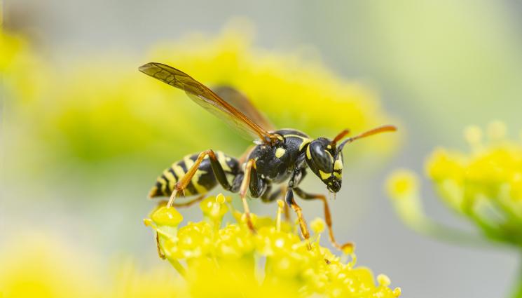 оси - Къде изчезнаха всички оси?