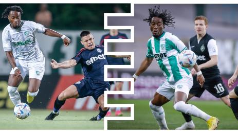 Вини Трибуле