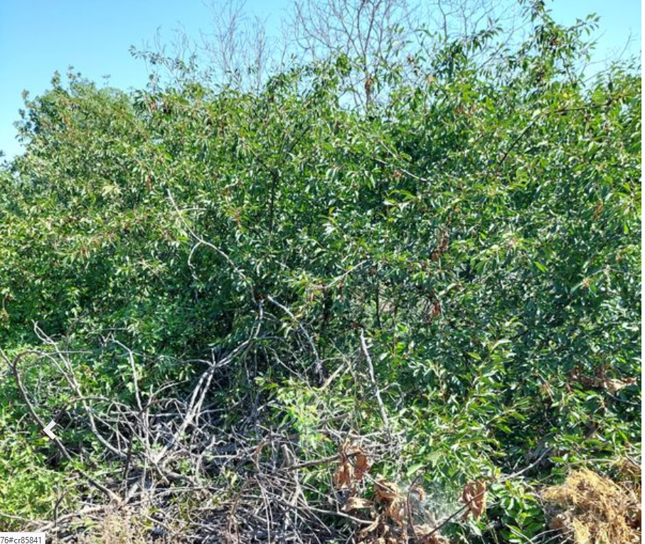 апартамент