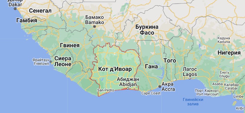 Кот дИвоар
