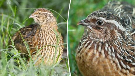 ловен сезон