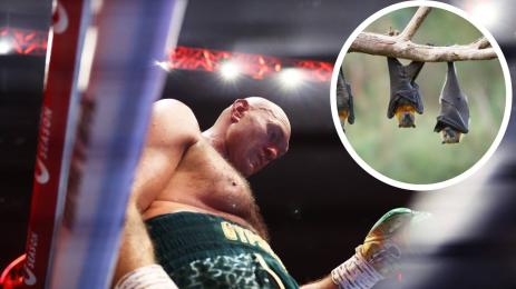 Тайсън Фюри