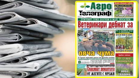 Агро Телеграф