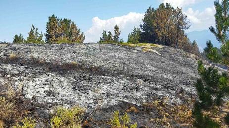 пожар гърция