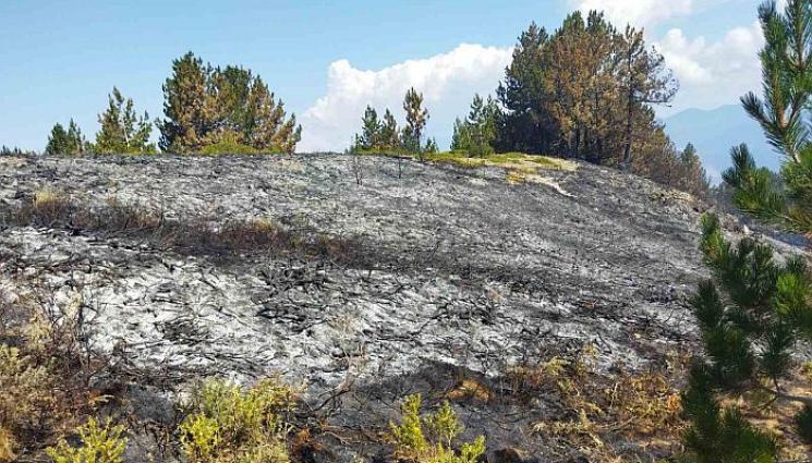 пожар гърция - Гасят нов пожар край границата с Гърция!