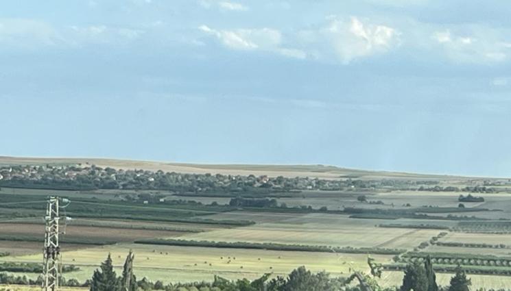 агро - Агро Телеграф: Поливайте лозите и късните овошки