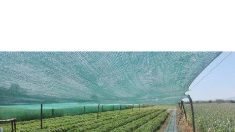 мрежи реколта