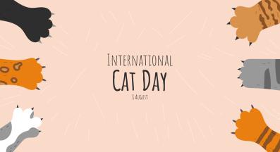 домашна котка