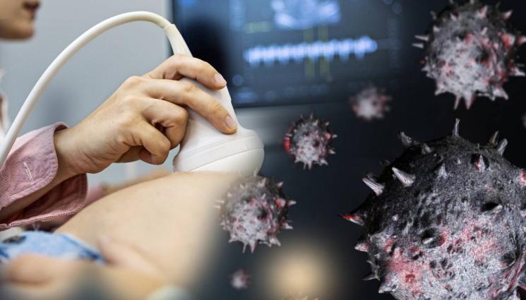 вирус - ПЪРВИ СЛУЧАЙ В ЕВРОПА: Африкански мушици носят нов вирус!