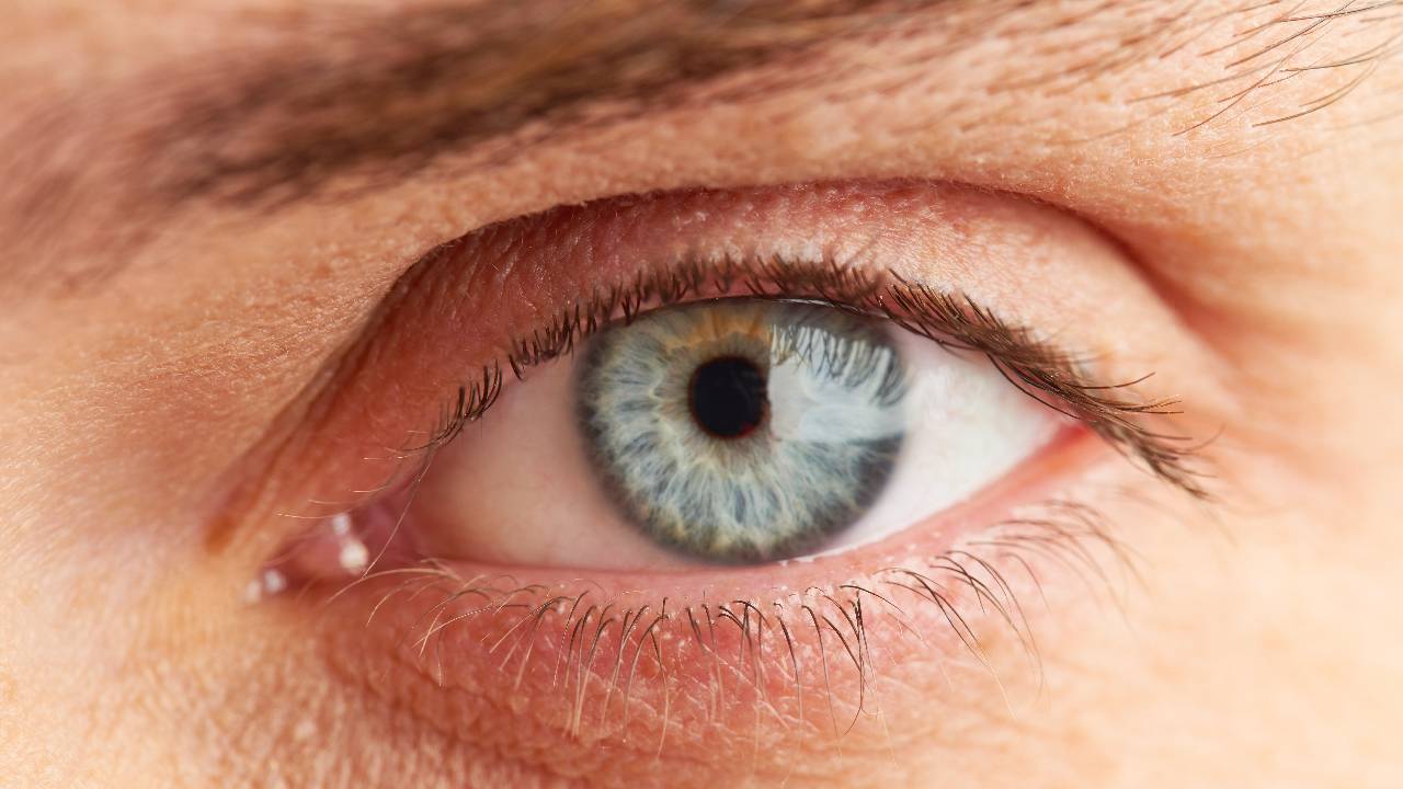 Шишенци самодиви