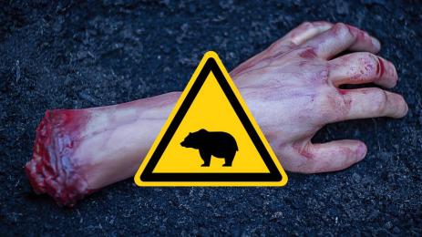 нападение мечка