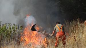 Пожар близо до летището в София