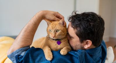 домашна котка