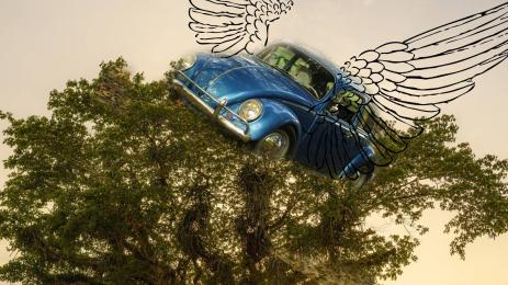 кола литнала