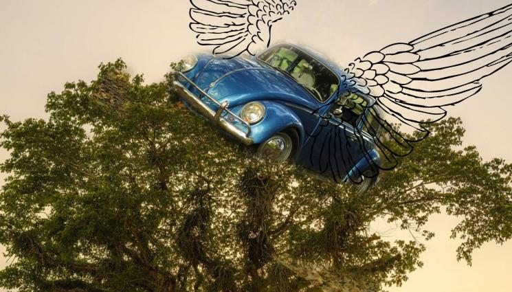 кола литнала - ВЕЧЕ И ЛИТНАХА: Кола