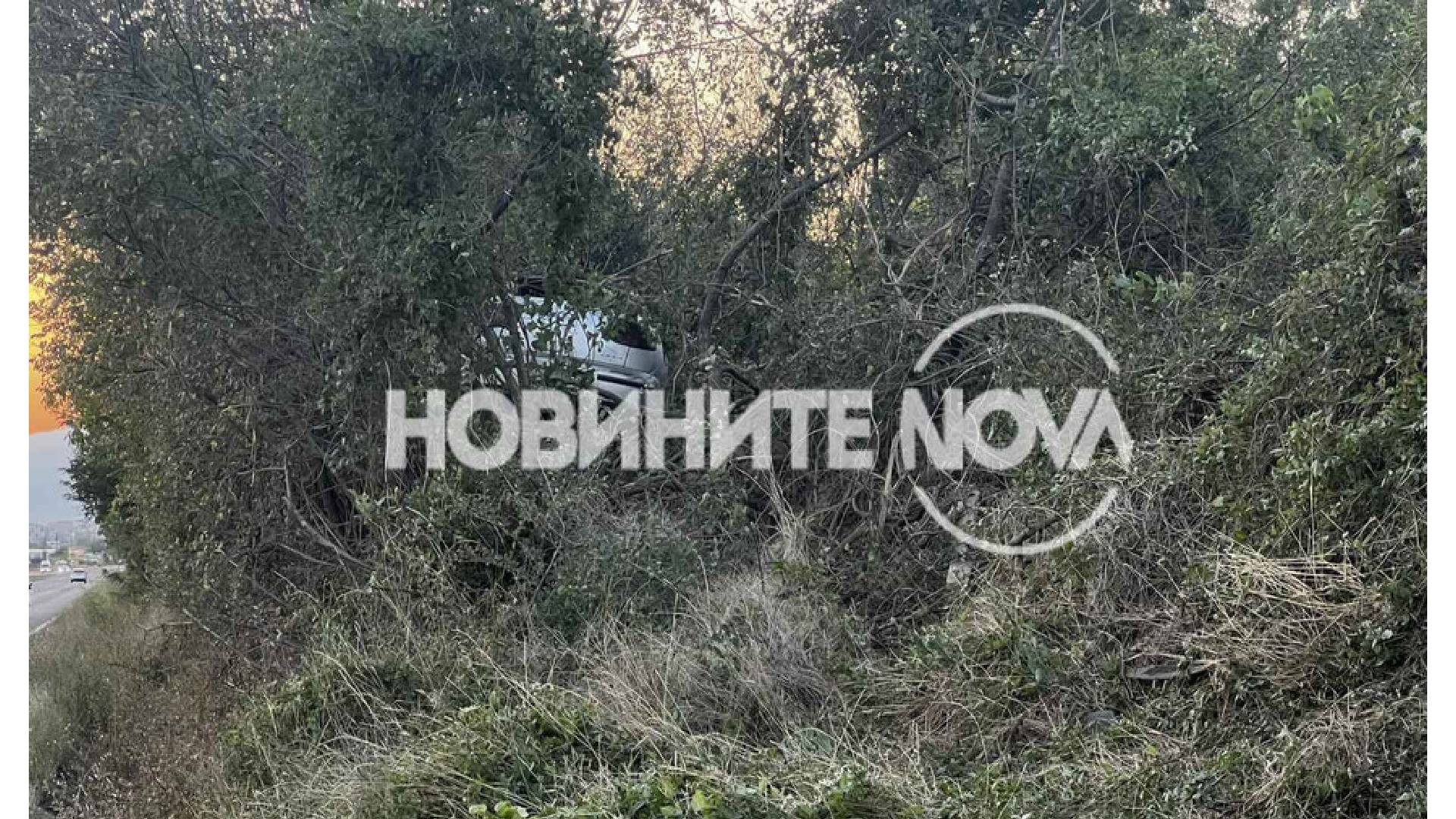 кола в клоните